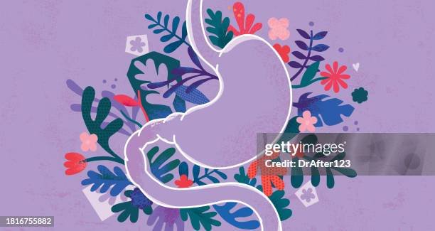 Gut-Brain Axis illustration showing the connection between digestive system and brain